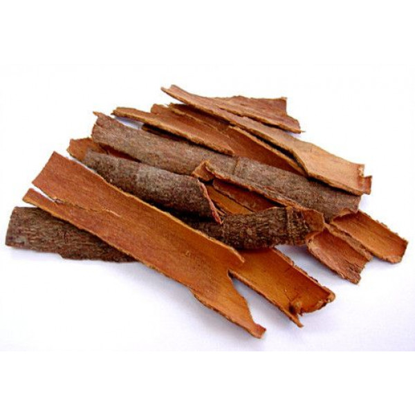 Cassia (दालचिनी)